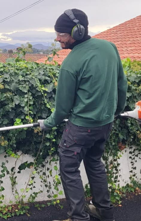 Anthony Garcia — Jardinier Vert Tige Pays Basque