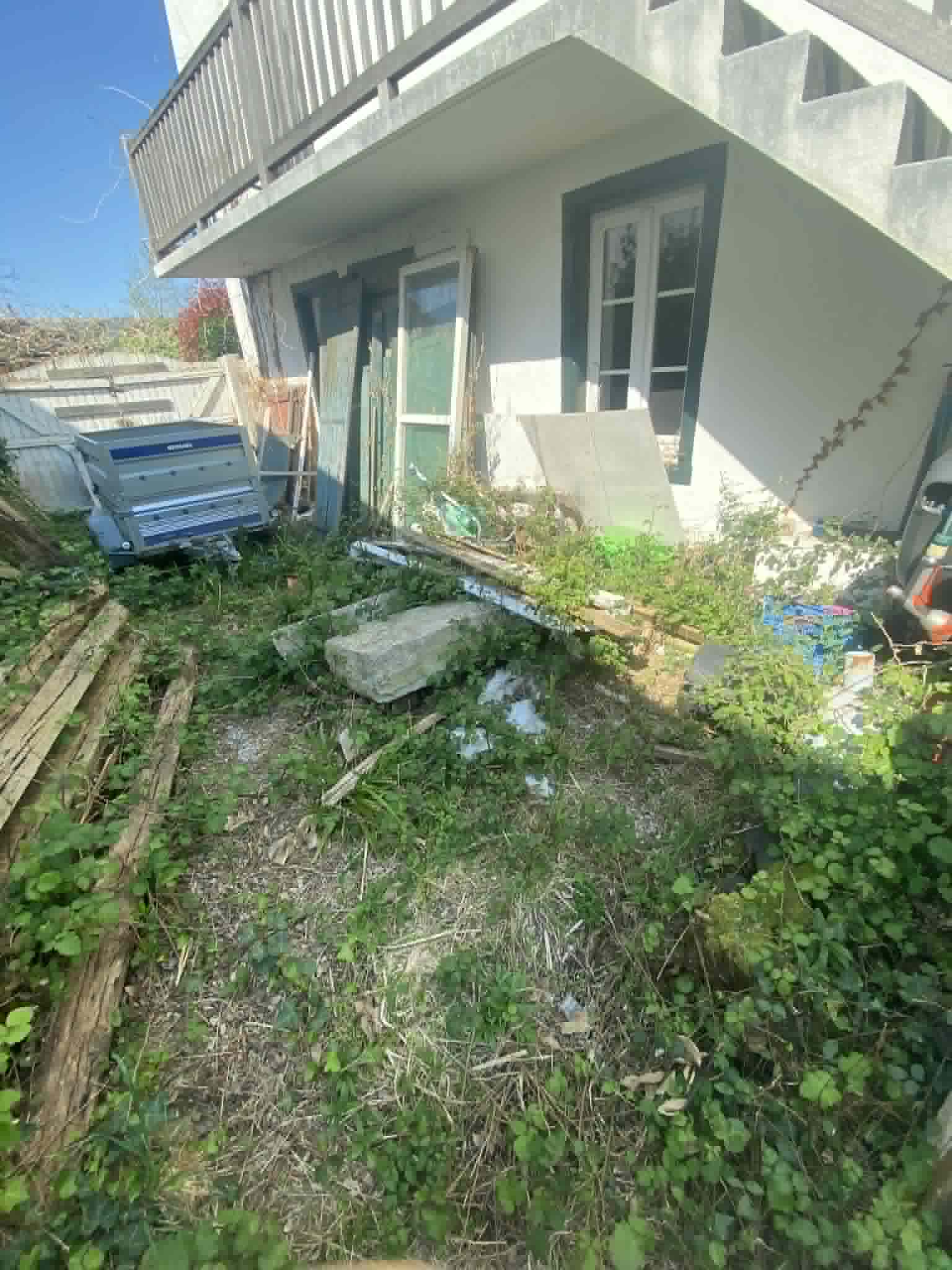 Jardin en friche avant débroussaillage Pays Basque